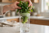 Fridge Herb Keeper Pod - photo 2