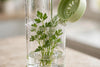 Fridge Herb Keeper Pod - photo 3